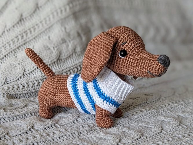 L’atelier de la fourmi zèbre