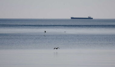 Le résultat des investigations sur le sabotage de NordStream pourrait causer du tort à l’Ukraine