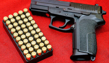 un voleur à la roulotte tente de s'emparer de l'arme de service d'un policier national