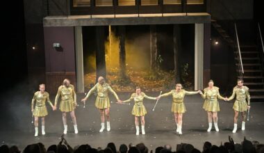 7 chiens dans un jeu de quilles dynamitent La Friche à Marseille