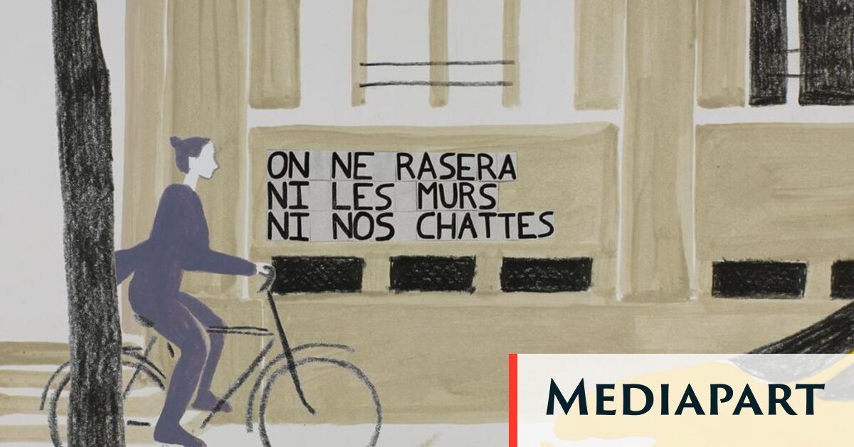 « Les filles c’est fait pour faire l’amour », récits de vie sexuelle