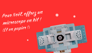 Des microscopes en papier au marché de Noël de La Capsule | ECHOSCIENCES