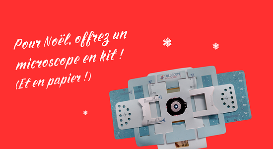 Des microscopes en papier au marché de Noël de La Capsule | ECHOSCIENCES