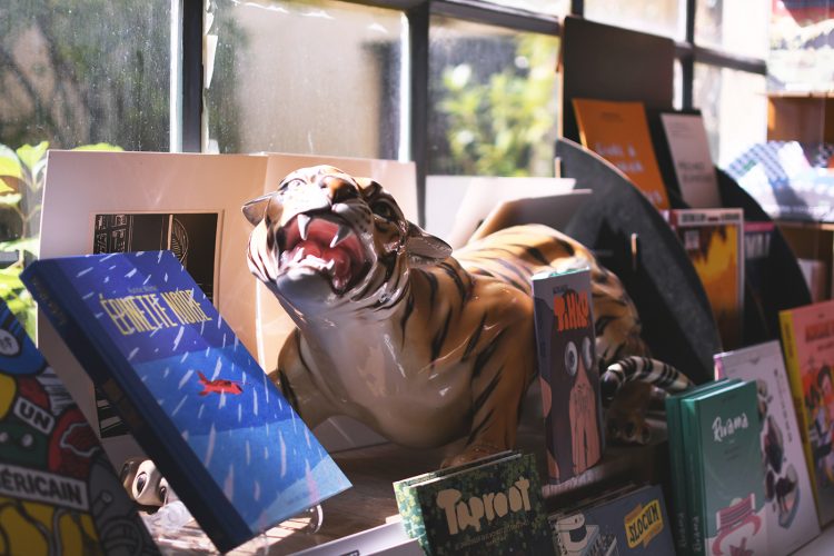 Librairie tigre livres (20)