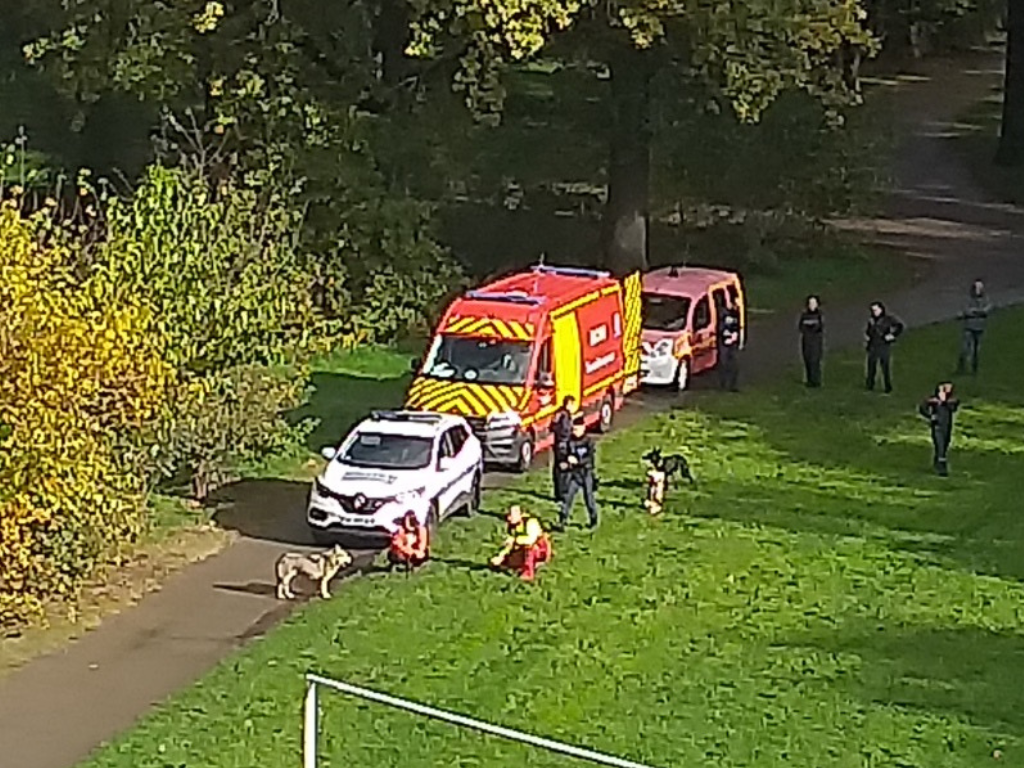 Près de Lyon. Un loup capturé par les pompiers dans ce parc bien connu ? Ce que l'on sait