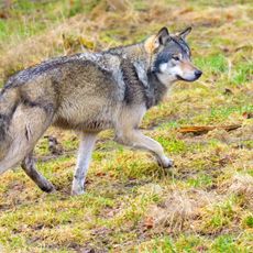 Getty Images/iStockphoto