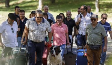 un couple se sépare en plein ...