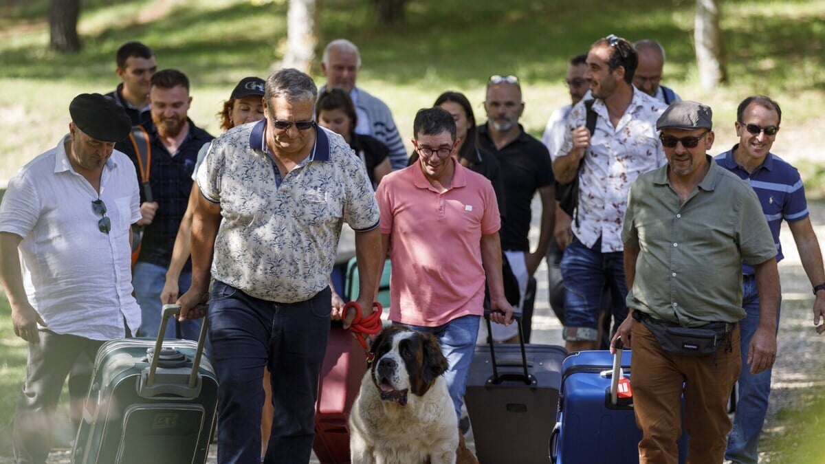 un couple se sépare en plein ...