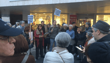 LA MOBILISATION CONTRE LES VERTS/LFI