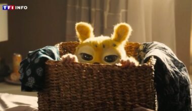 "Marsupilami" : découvrez les premières images du film de Philippe Lacheau
