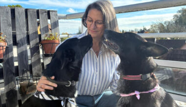 Strasbourg. Après son licenciement de la SPA, l’ex-directrice crée sa propre association de protection animale