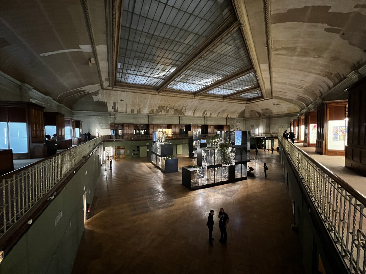 Lyon. Musée, thermes... Que va devenir cet immense lieu fermé depuis près de 20 ans ?