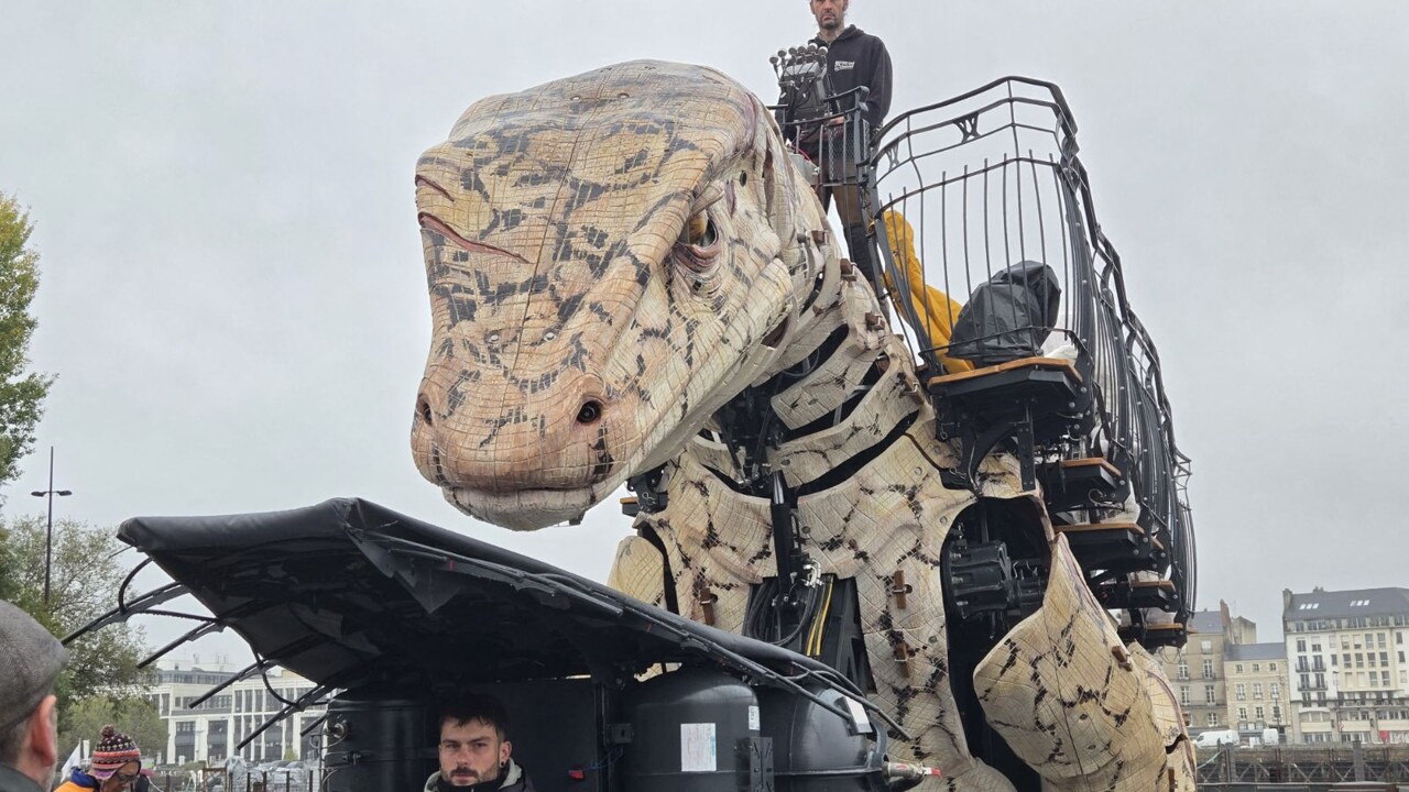 EN IMAGES. Ce nouveau lézard géant conçu à Nantes rejoint le Dragon de Calais