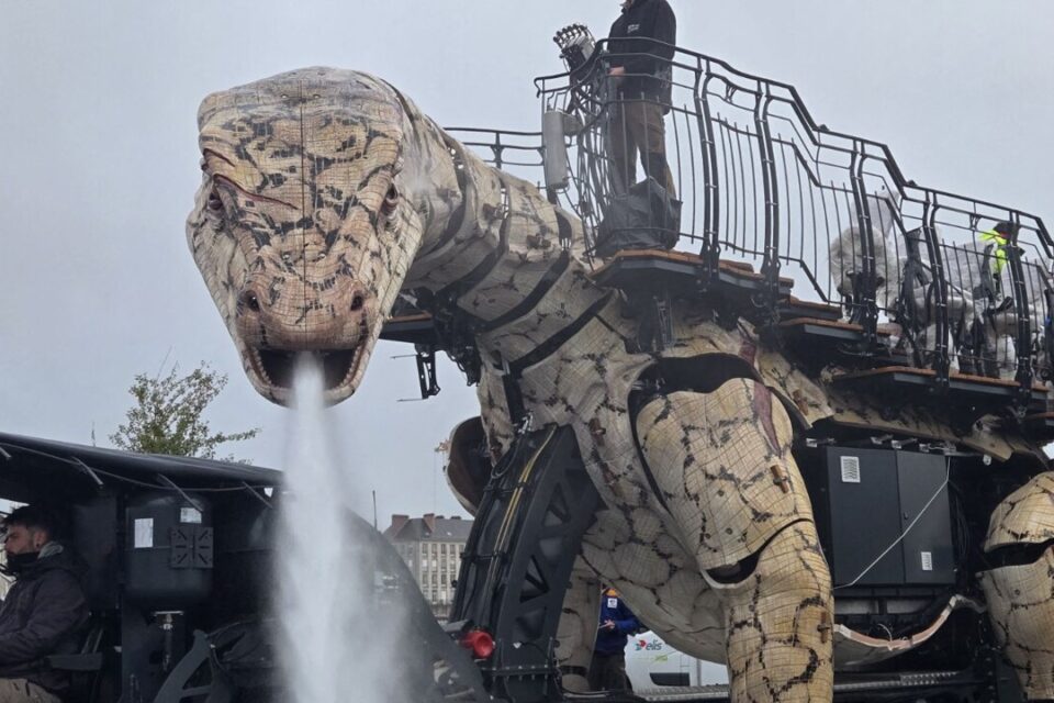 Le Varan est capable de cracher un jet d'eau.
