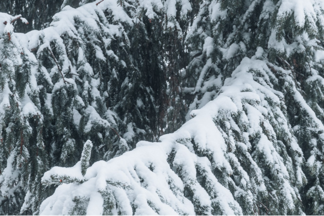 Les flocons sont tombés en quantité sur la station de Chamrousse, aux portes de Grenoble, ces derniers jours.? (© Chamrousse / Facebook)
