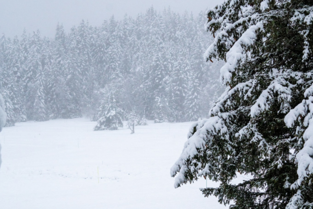 Les flocons sont tombés en quantité sur la station de Chamrousse, aux portes de Grenoble, ces derniers jours. (© Chamrousse / Facebook)