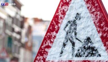 "Entre 1 et 5 cm de neige" : les images du premier épisode hivernal à Paris et en Île-de-France