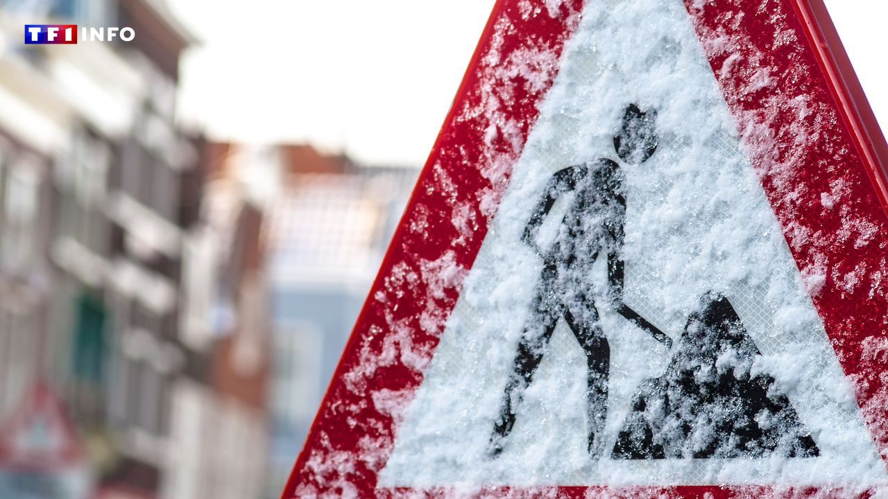 "Entre 1 et 5 cm de neige" : les images du premier épisode hivernal à Paris et en Île-de-France