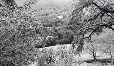 EN IMAGES. La neige recouvre ces communes de l'Isère et ce n'est pas terminé