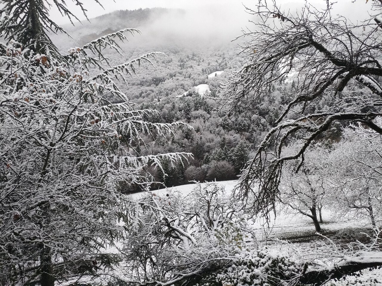EN IMAGES. La neige recouvre ces communes de l'Isère et ce n'est pas terminé
