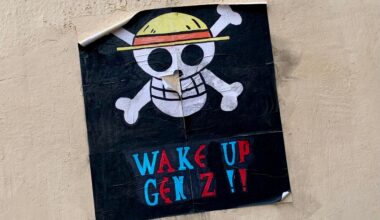 Avez-vous remarqué ce drapeau pirate dans les manifs à Montpellier ? Voici ce qu’il signifie