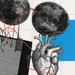 Des shiitakes pourraient remplacer des composants électroniques dans les ordinateurs de demain. © Photomontage : XD avec ChatGPT