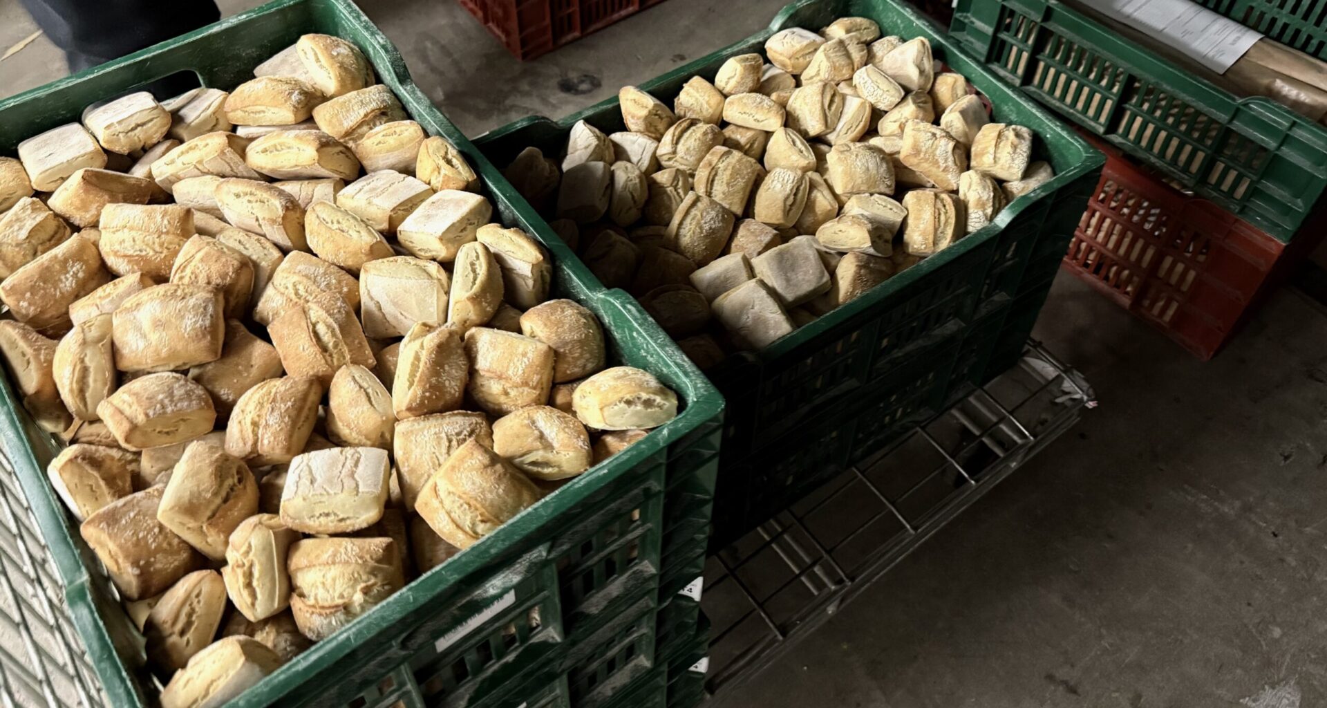 Quand le pain des cantines marseillaises refroidit entre rats et cafards