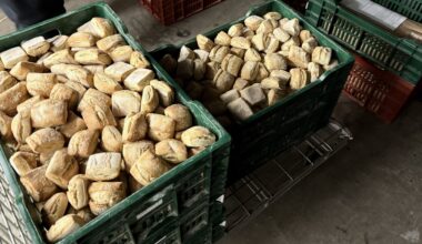 Quand le pain des cantines marseillaises refroidit entre rats et cafards