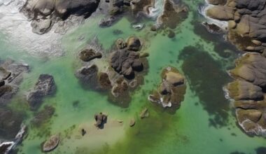 la vraie histoire de l’oxygène sur Terre