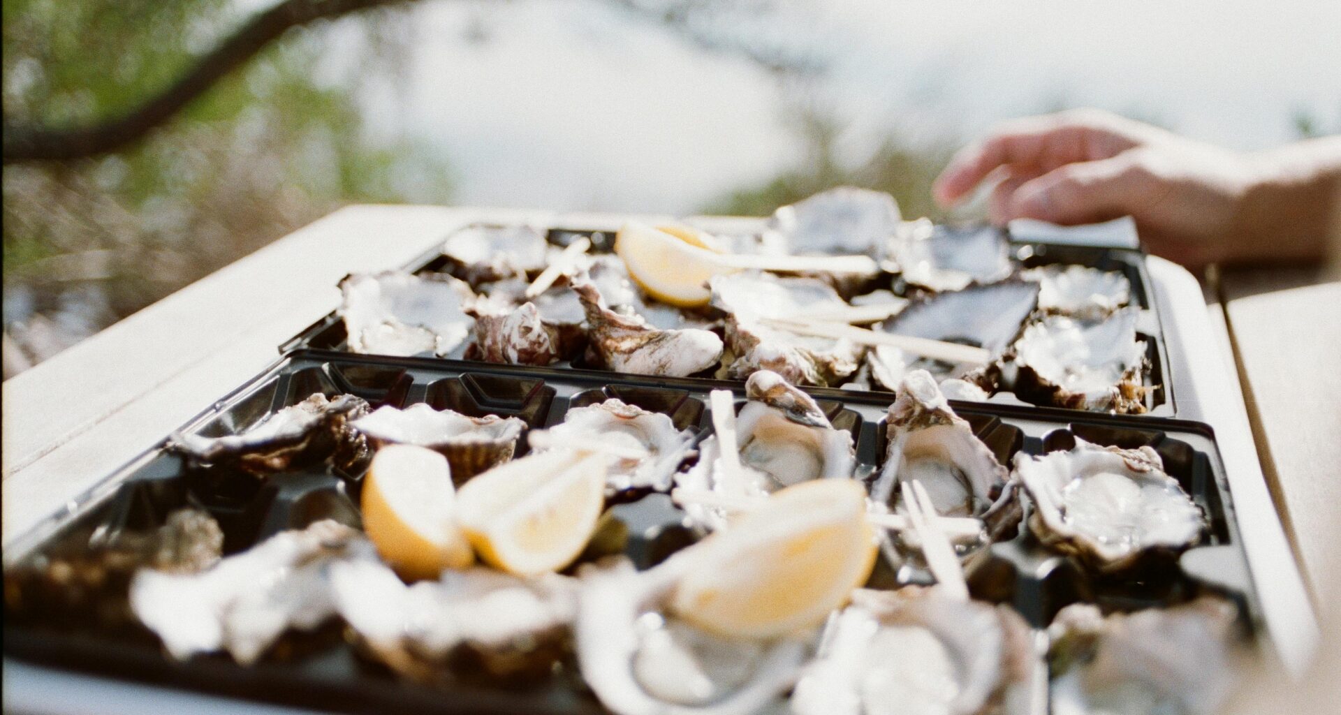 À Marcq-en-Barœul, la Fête aux Huîtres revient pour aider la population à Madagascar - 27/11/2025