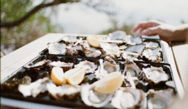 À Marcq-en-Barœul, la Fête aux Huîtres revient pour aider la population à Madagascar - 27/11/2025