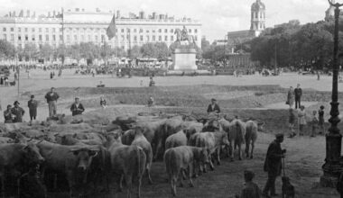 En images. Lyon se relève de la guerre... Dans les archives du Progrès dans les années 40