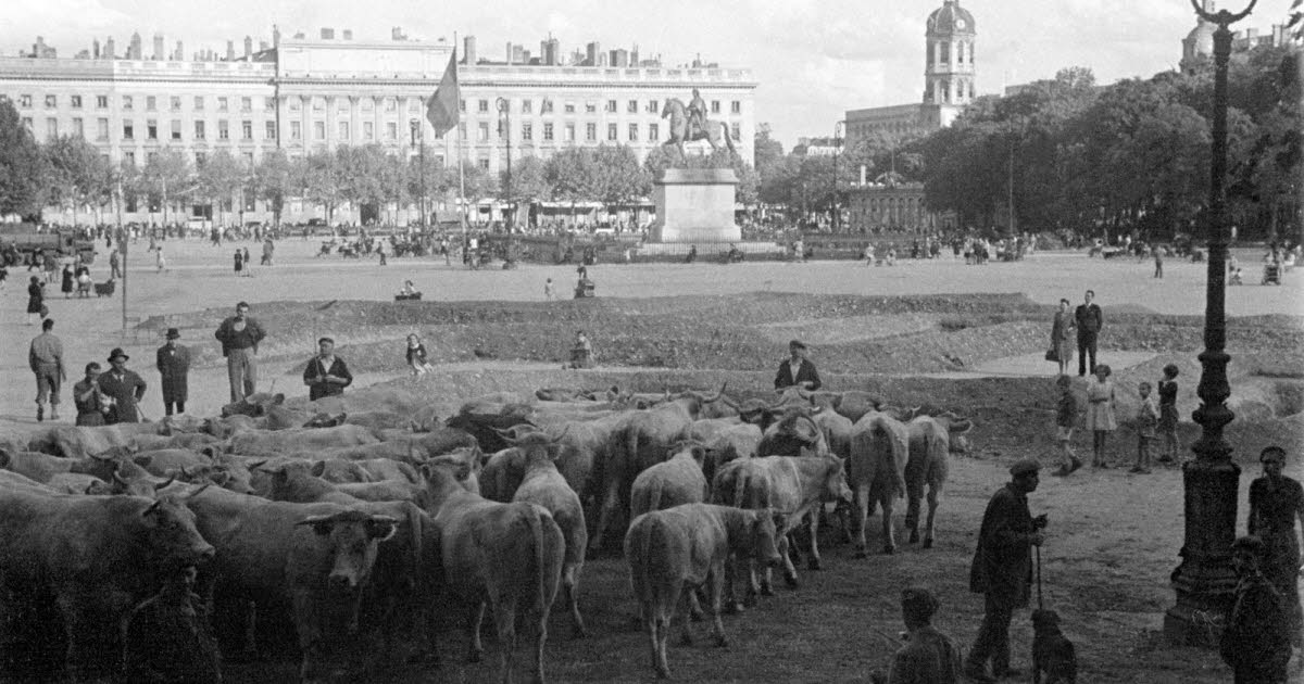 En images. Lyon se relève de la guerre... Dans les archives du Progrès dans les années 40