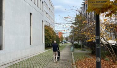 seules 3 % des rues portent le nom d’une femme