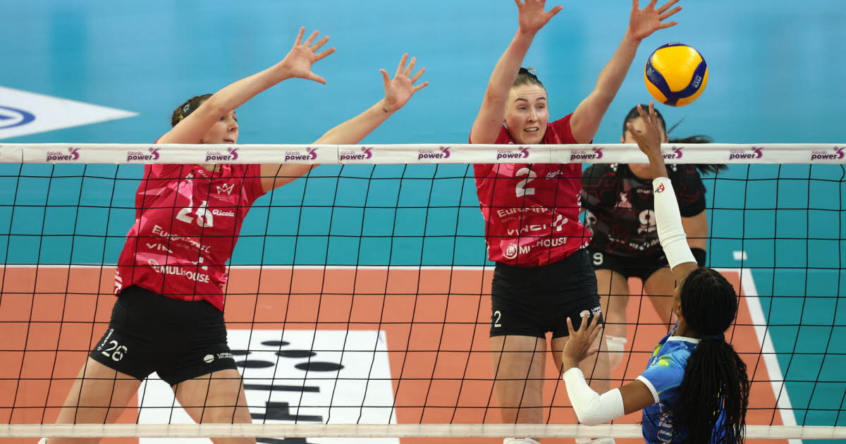 Volley-ball. Lexi ou la belle vie avec le Volley Mulhouse Alsace
