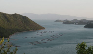 Achenheim. Pour voir le monde autrement, elle s'est plongée pendant un an dans le Japon rural