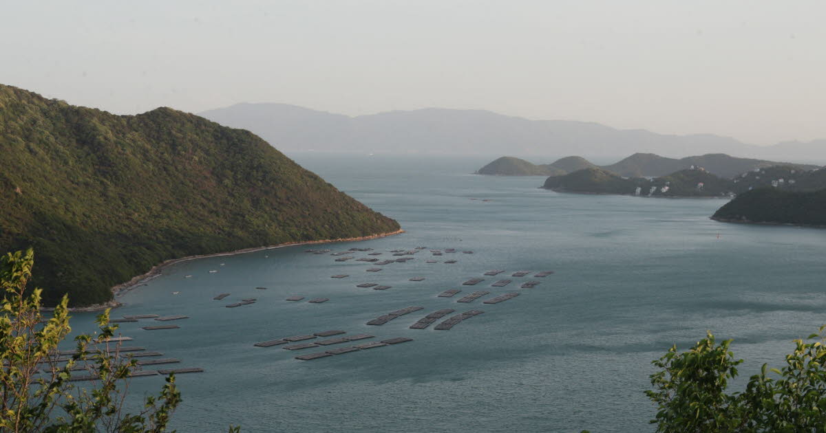 Achenheim. Pour voir le monde autrement, elle s'est plongée pendant un an dans le Japon rural