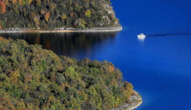 Jura. L’œil de notre photographe : “Vitesse de croisière”, par Philippe Trias - Le Progrès