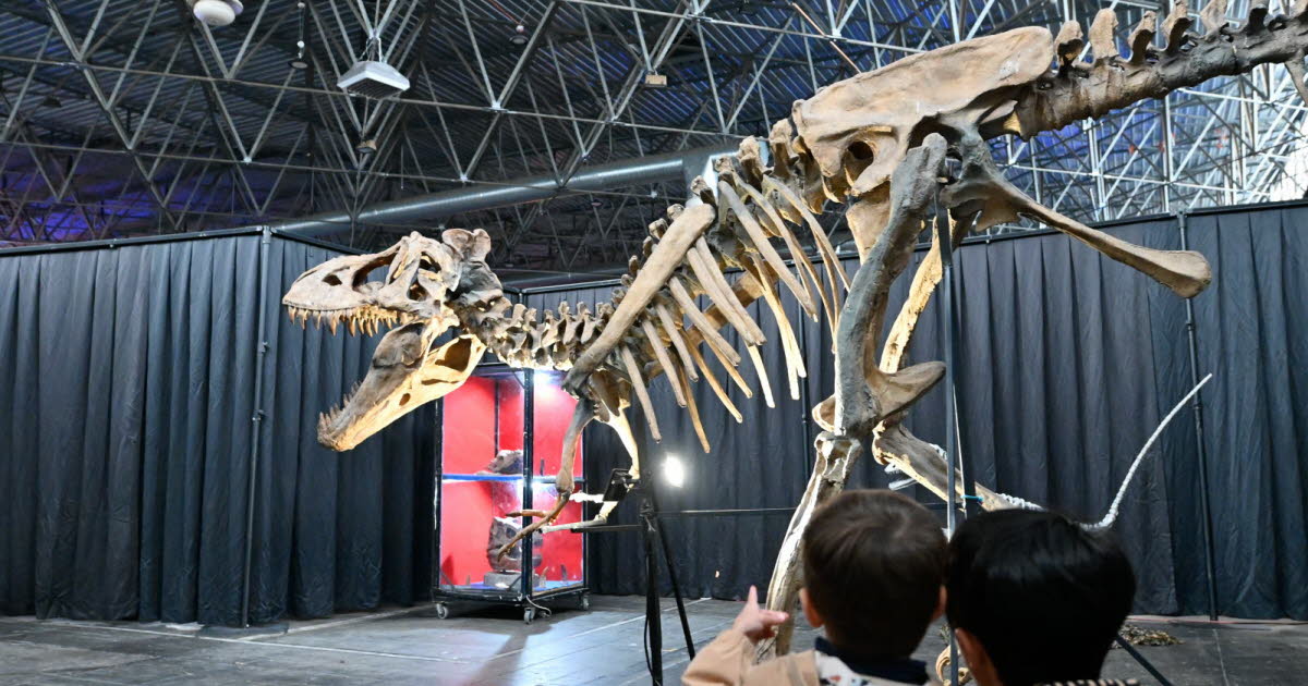 Photos. Les dinosaures ont envahi le parc des expos de Vandoeuvre-lès-Nancy !