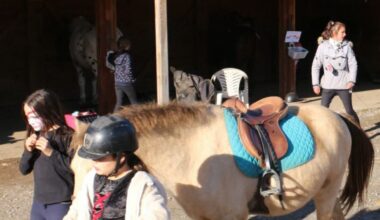La Talaudière. Sorciers et sorcières au centre équestre