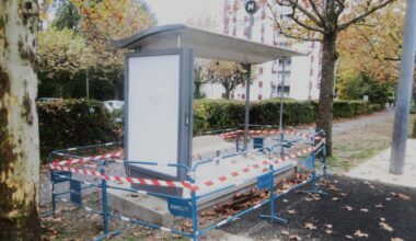 Meylan. Afin de préserver un platane, un nouvel arrêt de bus sans fondation