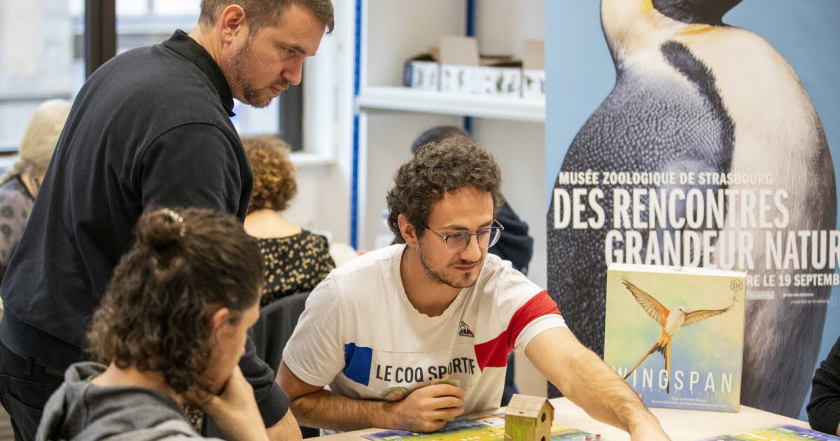 Strasbourg. Au musée zoologique, tout un après-midi de jeux pour apprendre en s’amusant