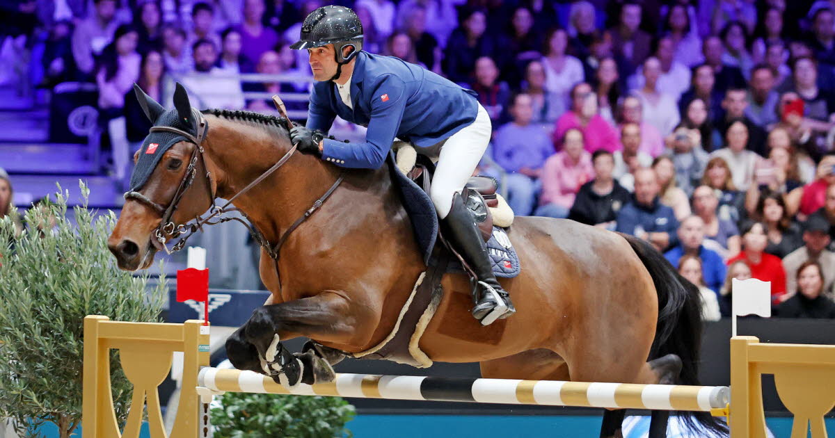 revivez le sacre du Roannais à l'étape Coupe du monde de saut d'obstacles