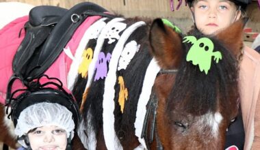 Seichamps. La chevauchée diabolique à l’Oxer