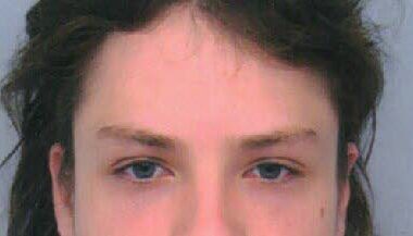 Bas-Rhin. Suspecté d'avoir tué sa mère et brûlé son corps, un homme de 22 ans est recherché près de Strasbourg