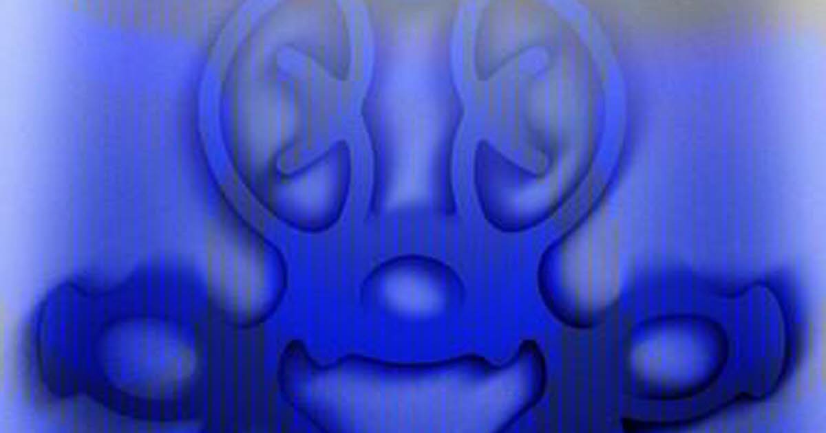 Inspirée par les plantes cailloux, Océane Muller expose au jardin botanique