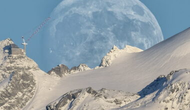 le magnifique cliché d’un photographe amateur