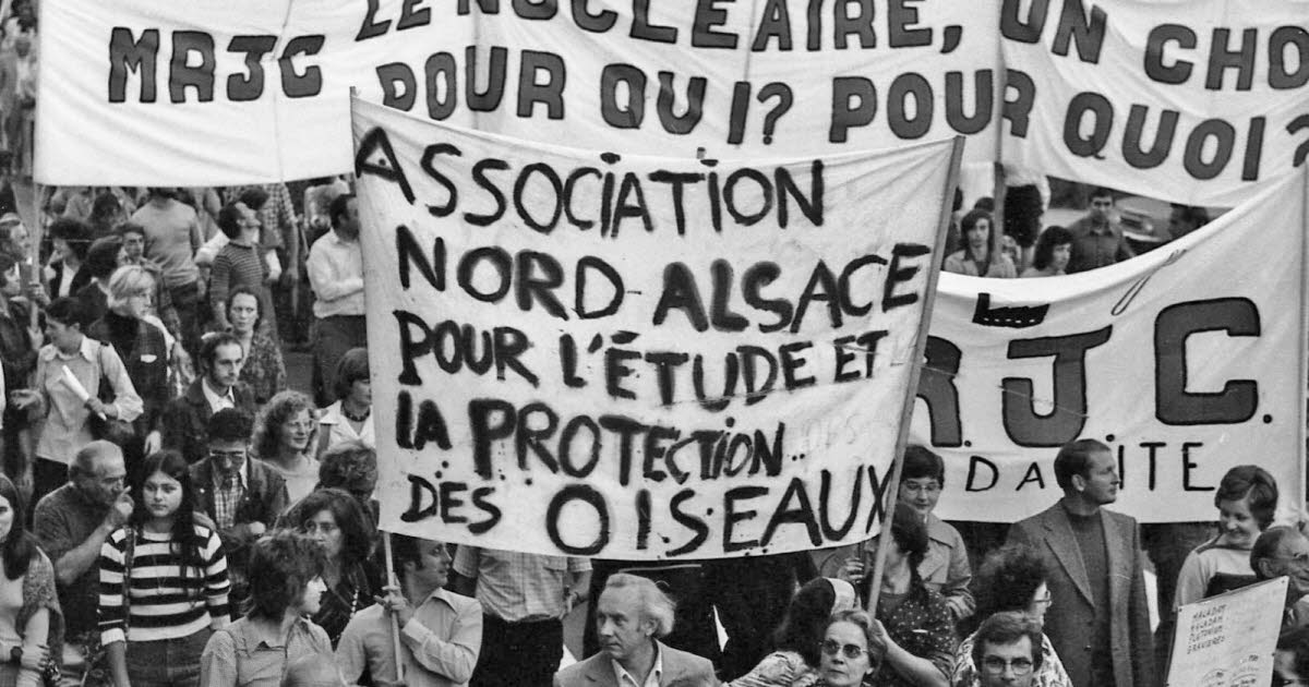 Environnement. Alsace Nature, pionnière du militantisme écologique