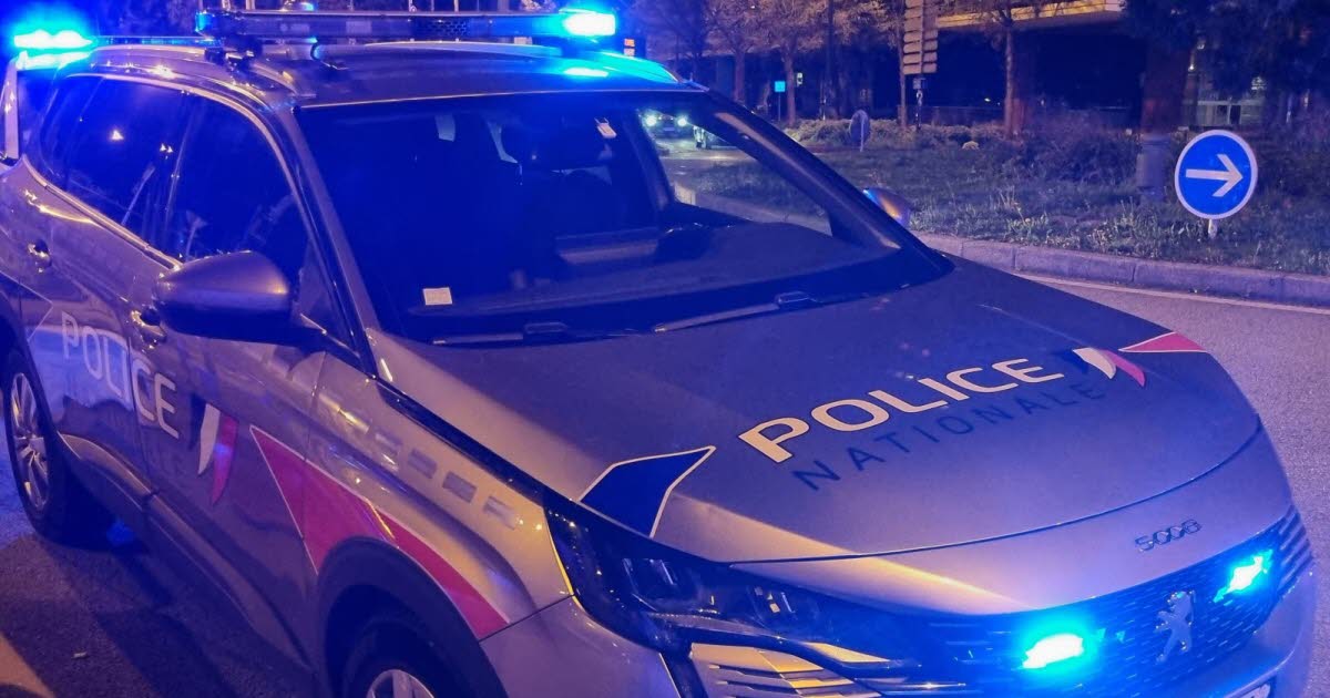 Grenoble. Deux hommes armés pris en chasse par la police