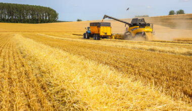 Bois-de-Haye. « Leurs champs du cœur », le vrai coût de notre alimentation